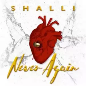 Instrumental: Shalli - Never Again (Prod. By MHMD Productions)
